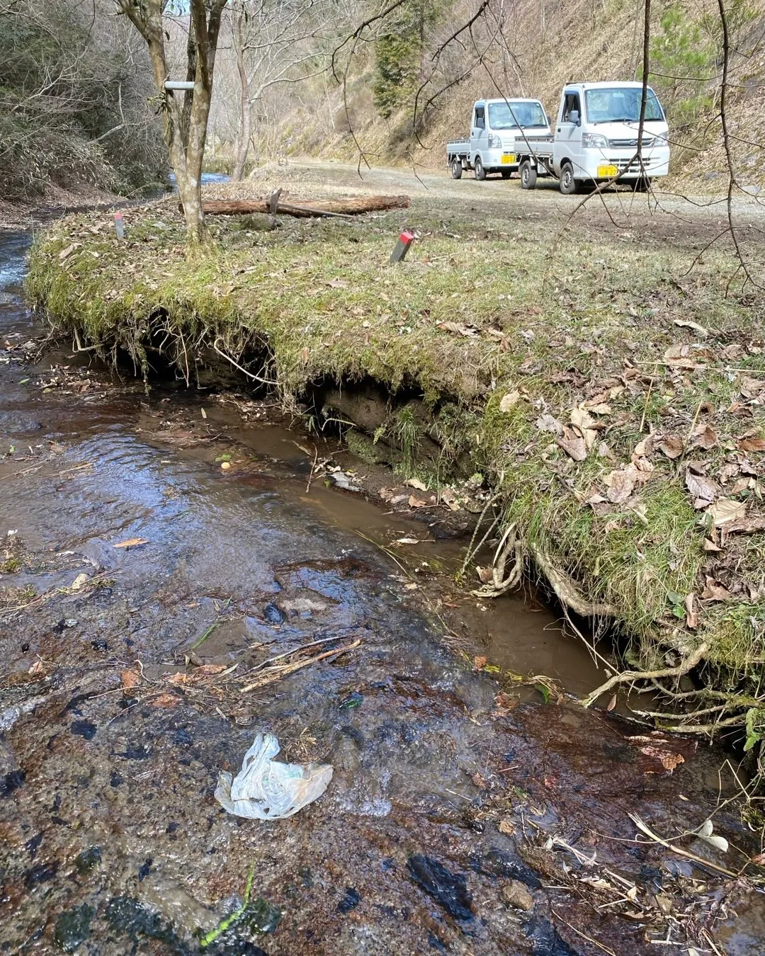 大雨でエグれてしまった川岸と石積みの最下段の大石。