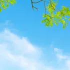 コンセプト