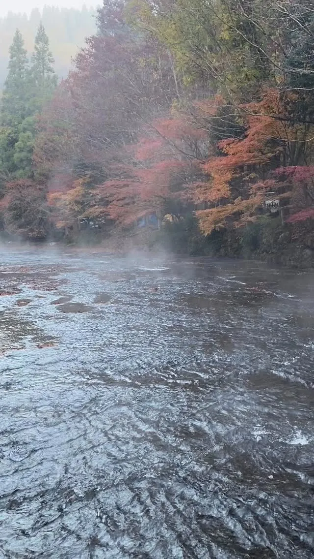 川霧立つ今朝方の遊水峡。