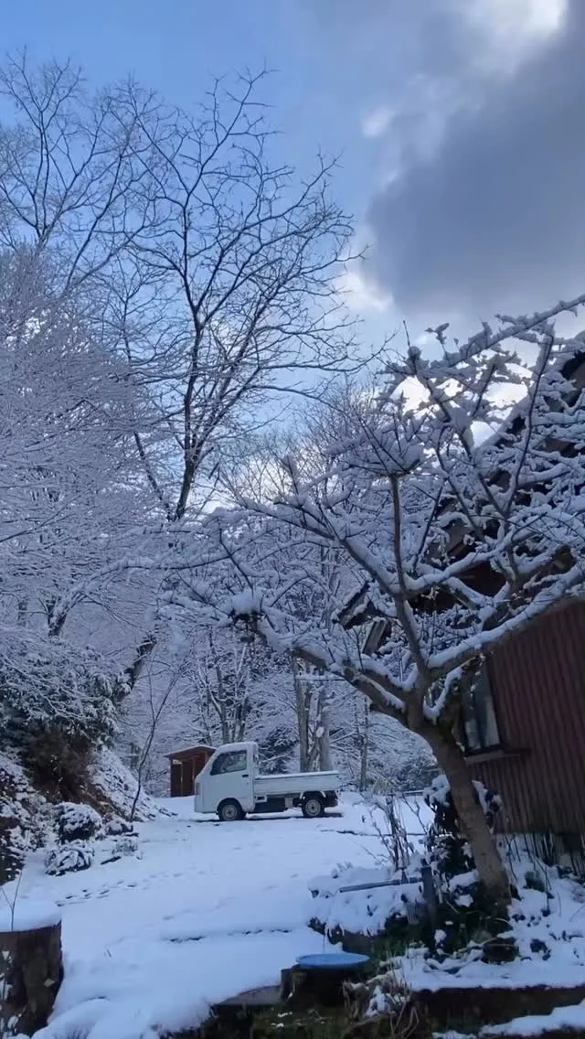 夜更けからの雪で静かな静かな　遊水峡。